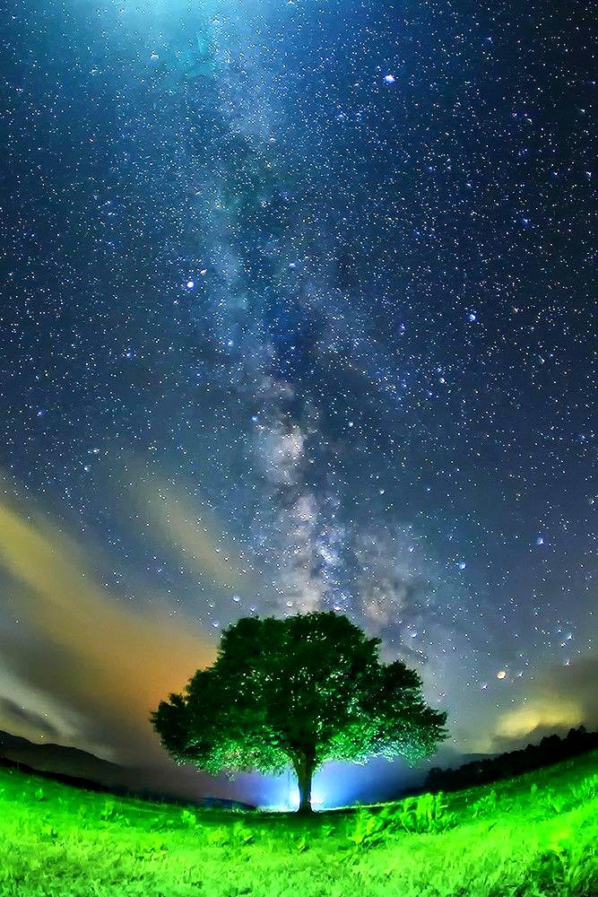 ✨