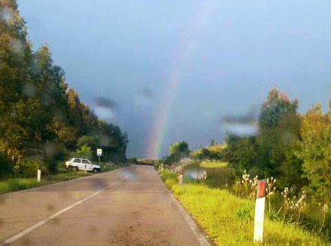 rainbow