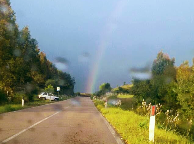rainbow