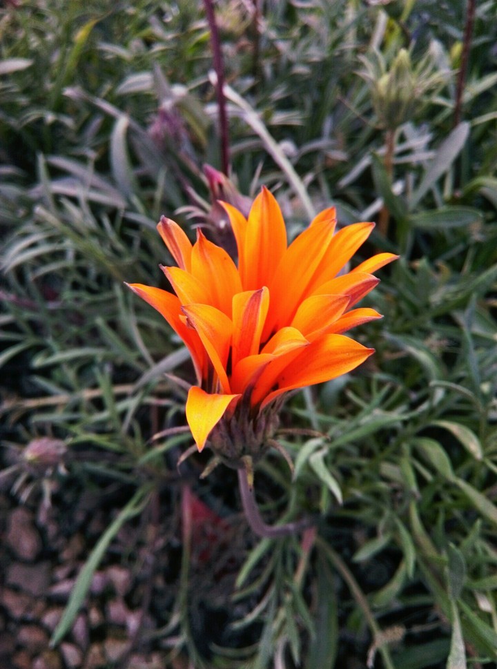 The beauty of creation_بعدستي
