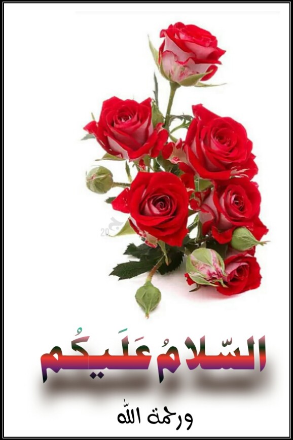 السلام علیکم  ورحمتہ اللہ  ،،،۔