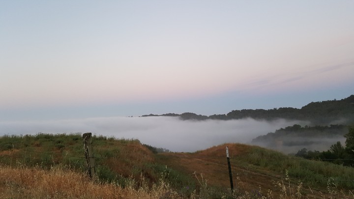 morning  mountain mist