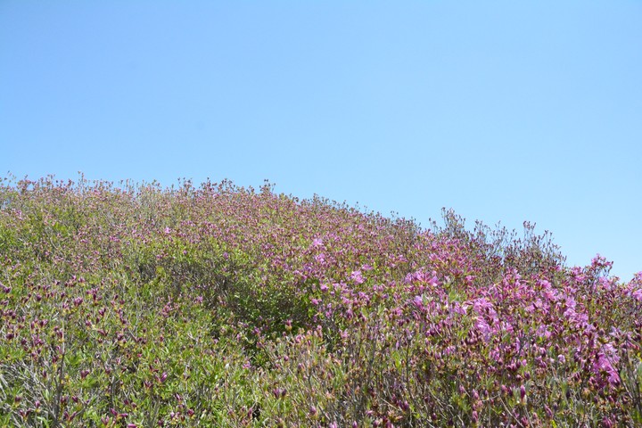 지리산이미지