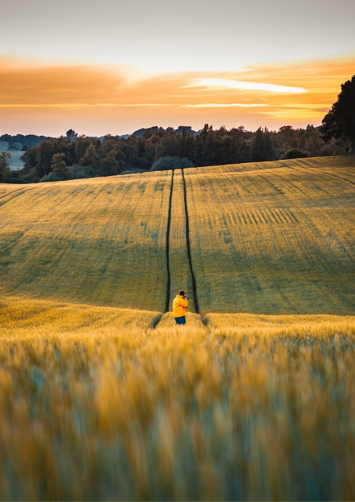 life in yellow