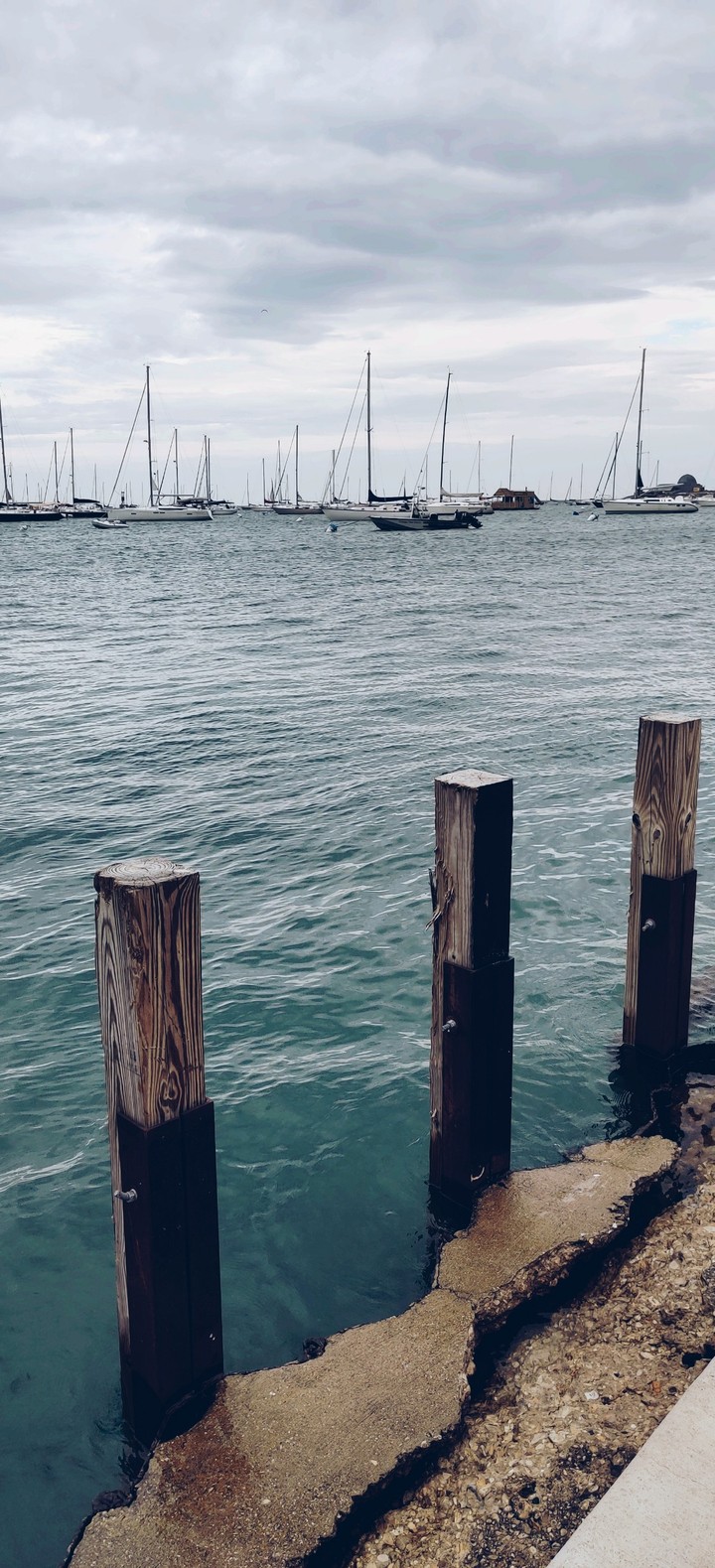 Lakeshore