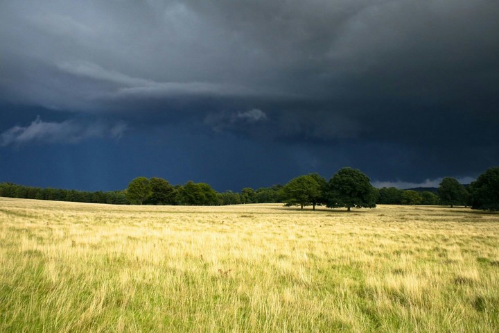 weather