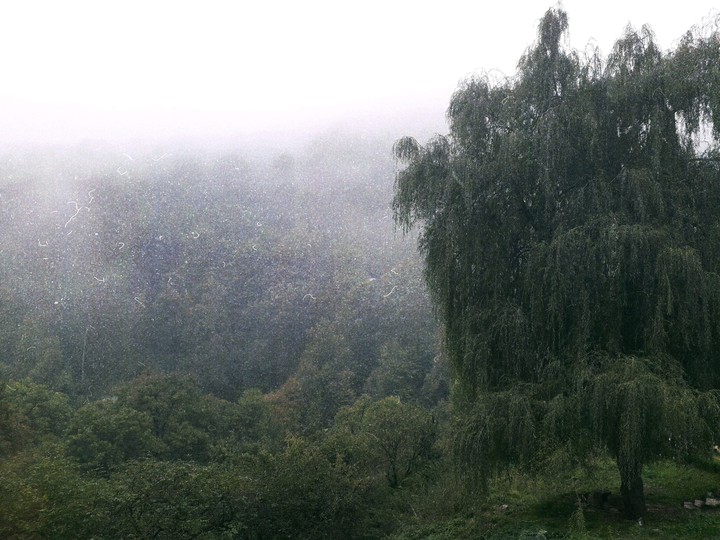 Dilijan
