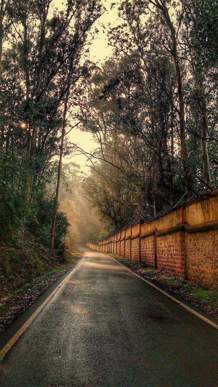 path to heaven