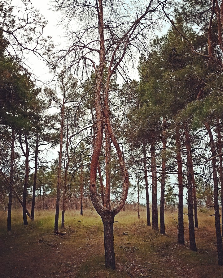 Autumn ..You are with us again