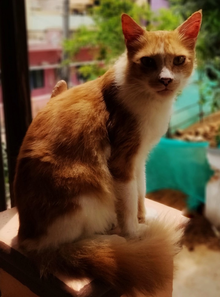If looks could kill!