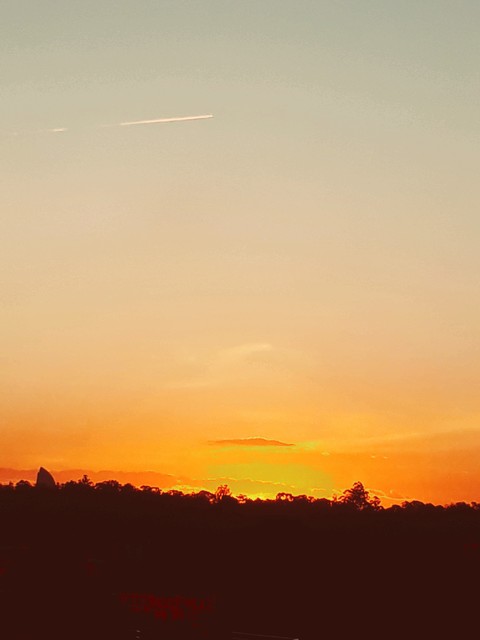 Golden Evening