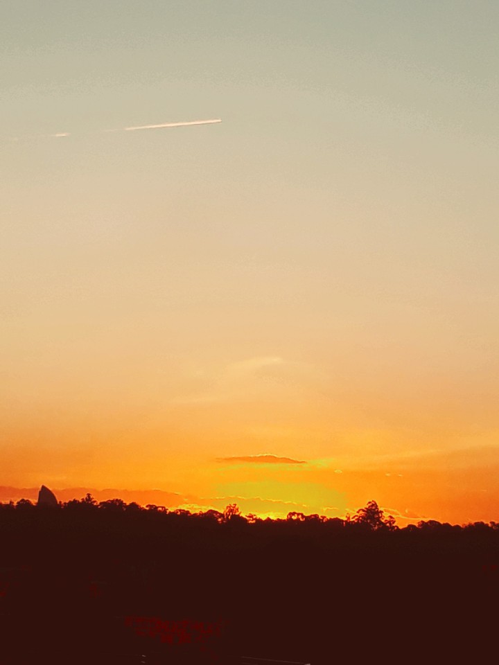 Golden Evening