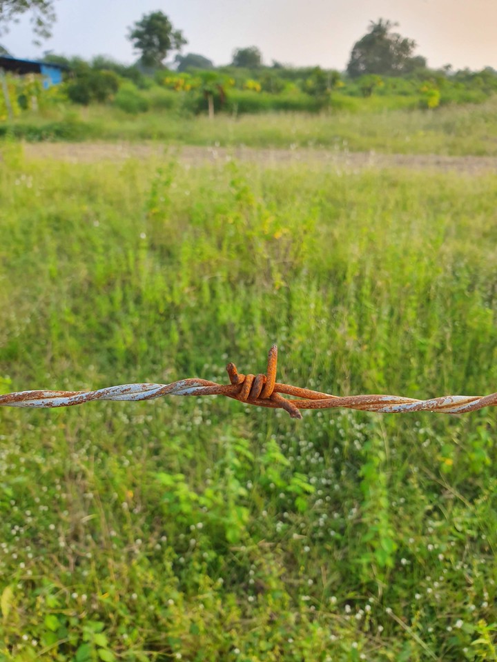 field chain