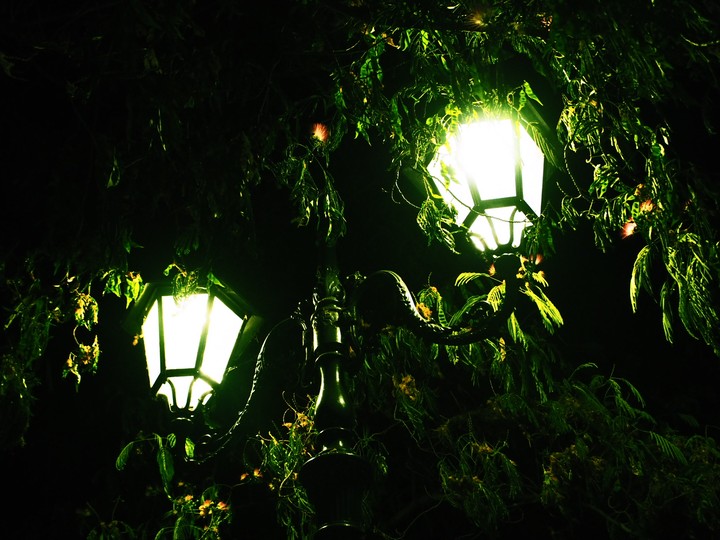 Fairytale Street Lights