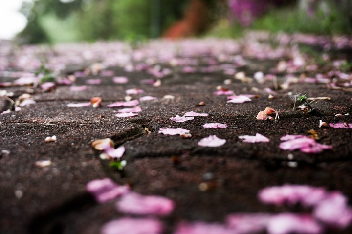 The end of the spring
