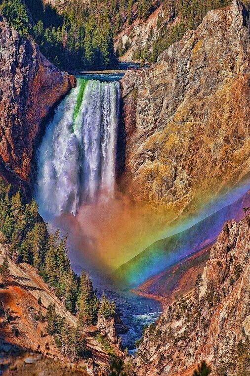 beautiful