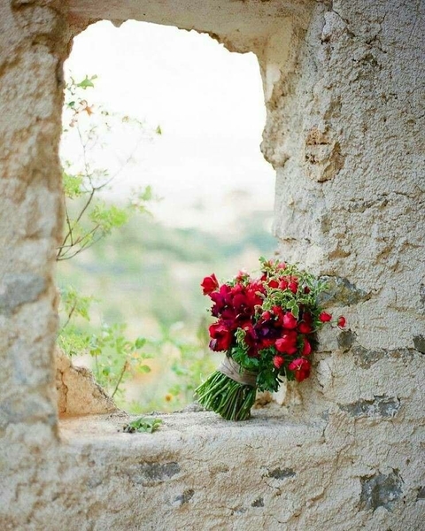 floristry, rose wallpapers