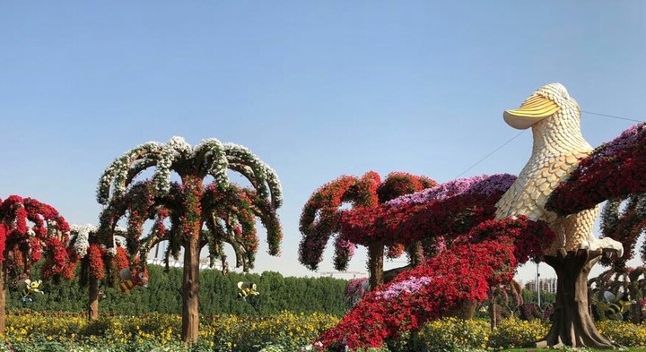 Flower Garden