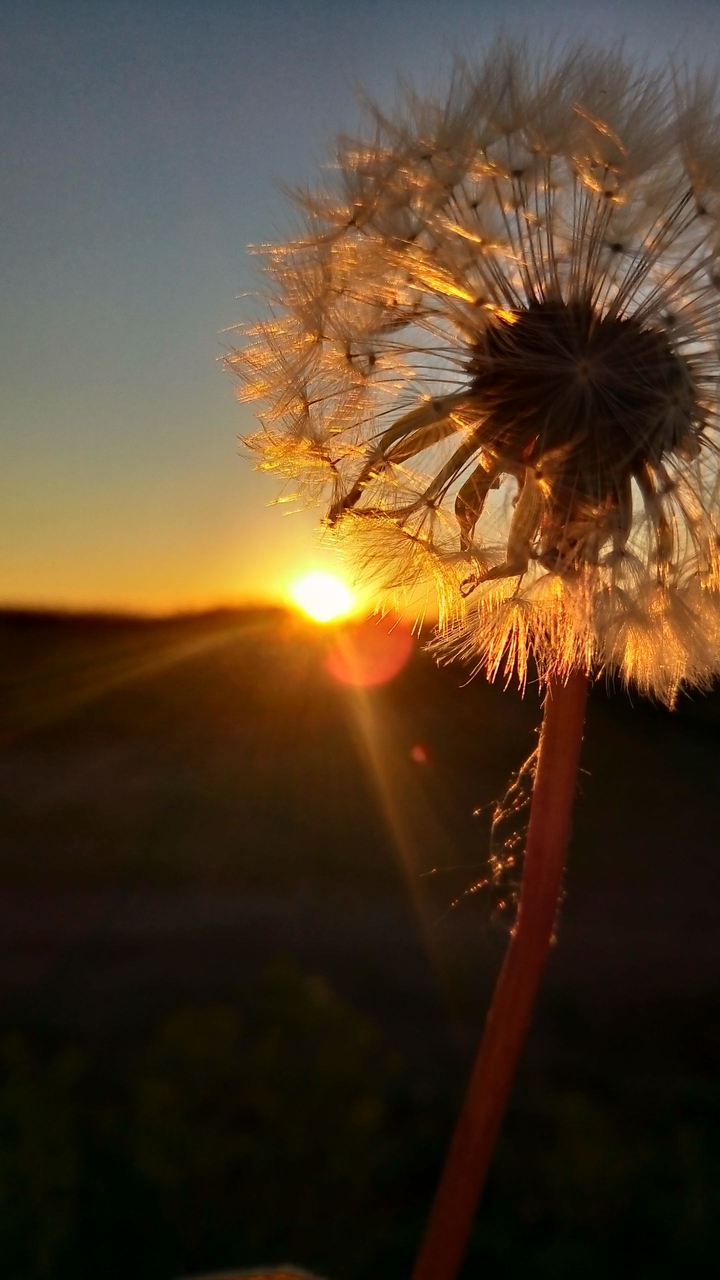 evening