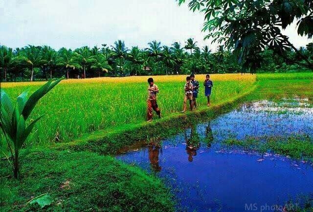 Want to go back childhood. Alas!!!