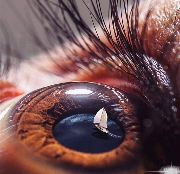 Illusion d'optique