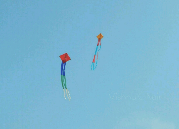 Kites