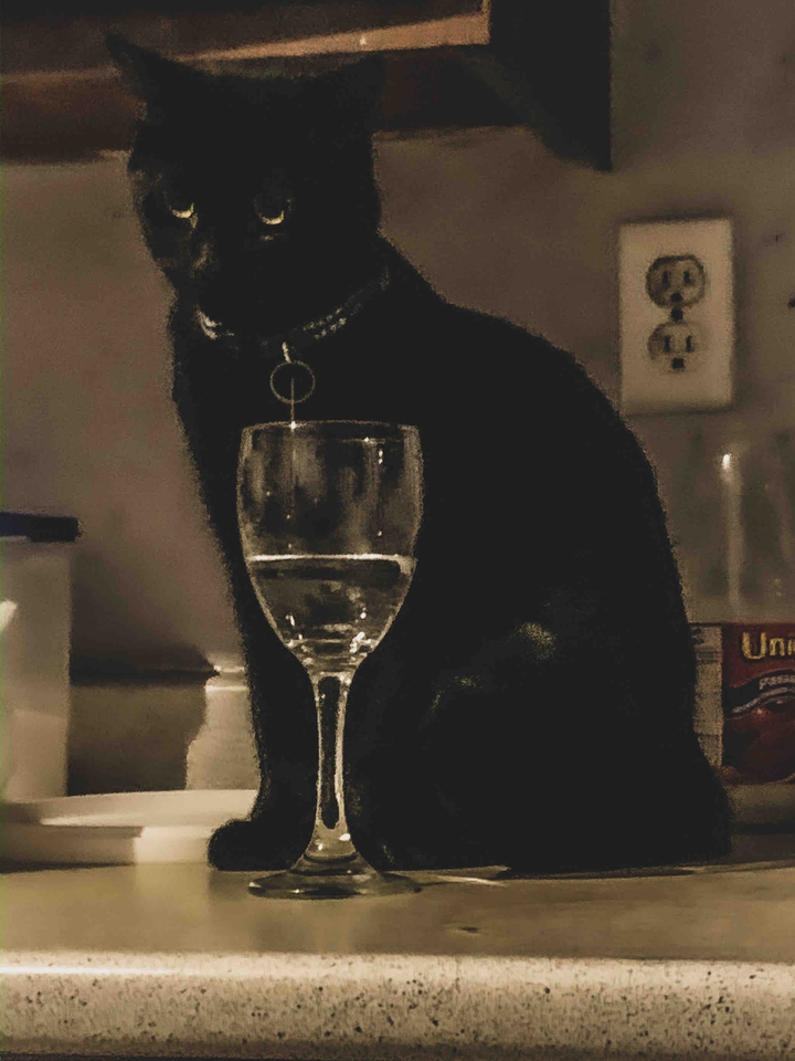 Oscar