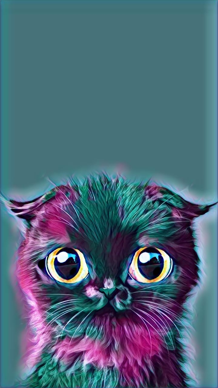 котик