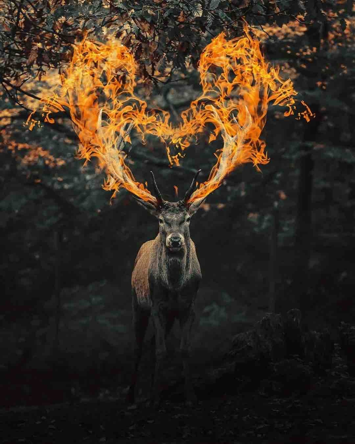 f