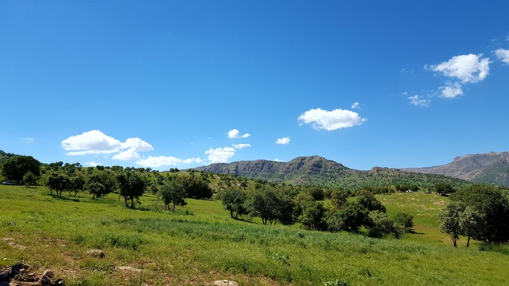 lorestan