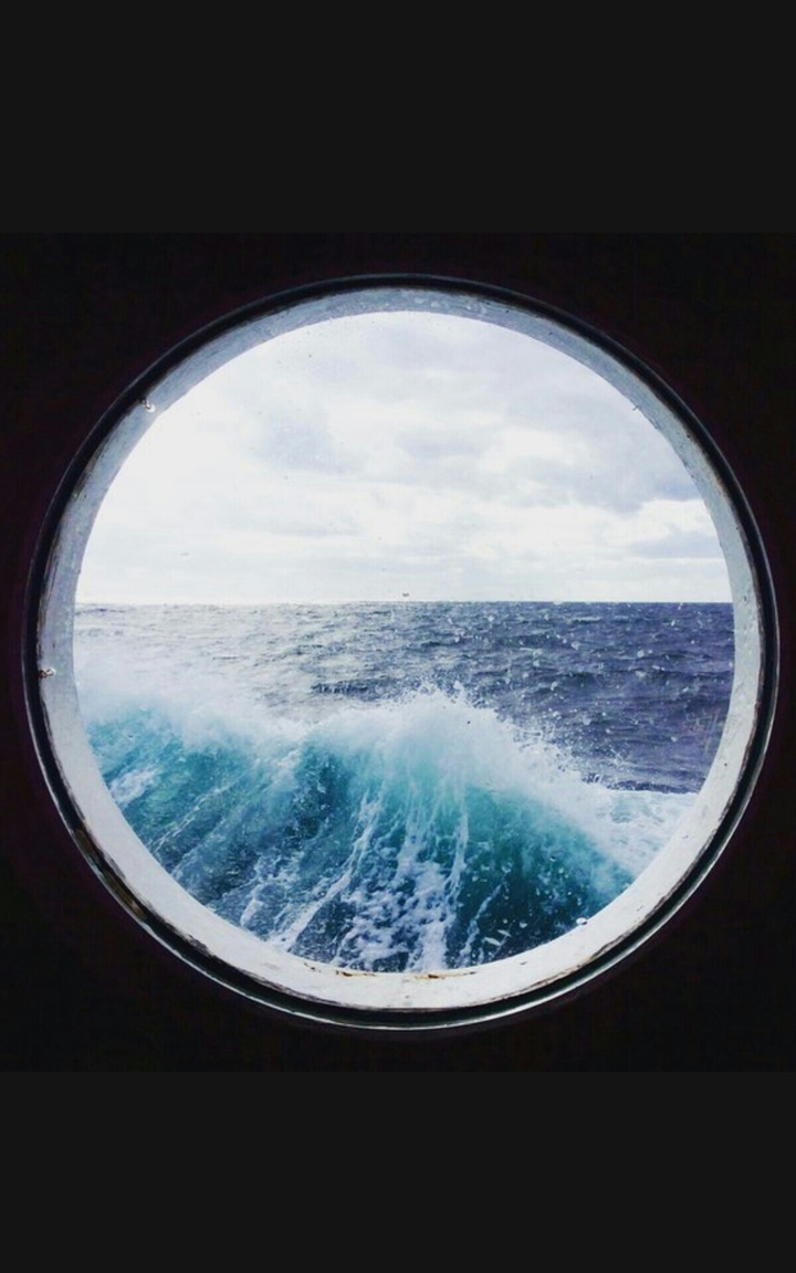 Window