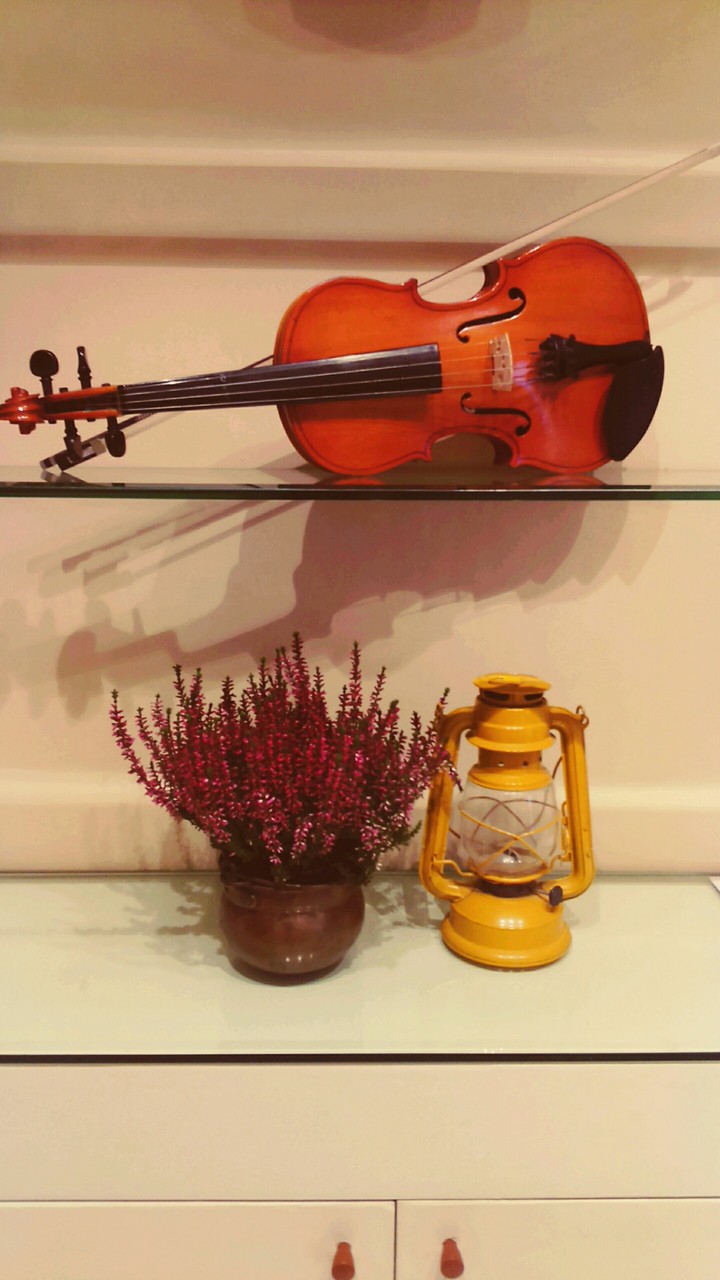 pianta, luce e musica!