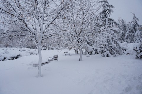 Winter landscape