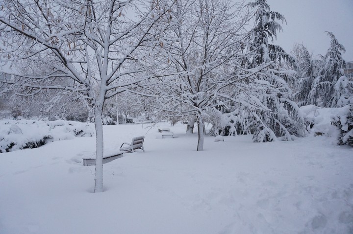 Winter landscape