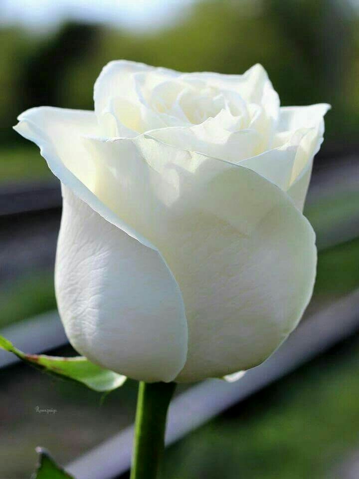 ❤ ❤ ❤ ❤ ❤ ❤ ❤ ❤ ❤ ❤ ❤ ❤ ❤ ❤❤❤❤