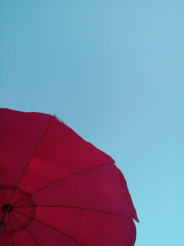 Pink Parasol