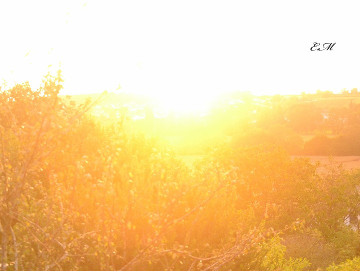 couché de soleil