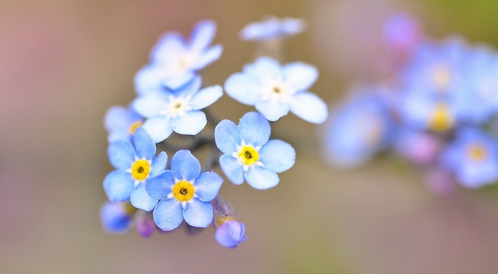 날 잊지 마세요