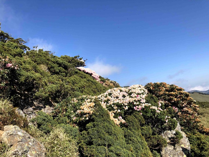 Taiwan 合歡山
