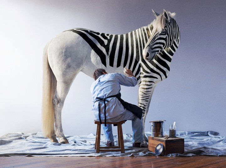 I love zebra. She is stylish)