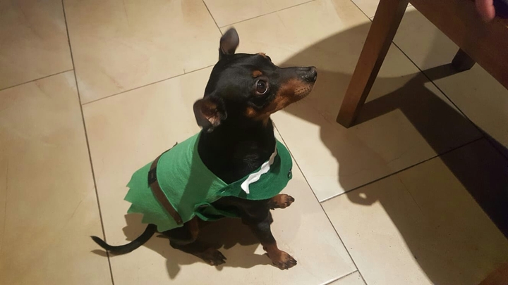 Pele