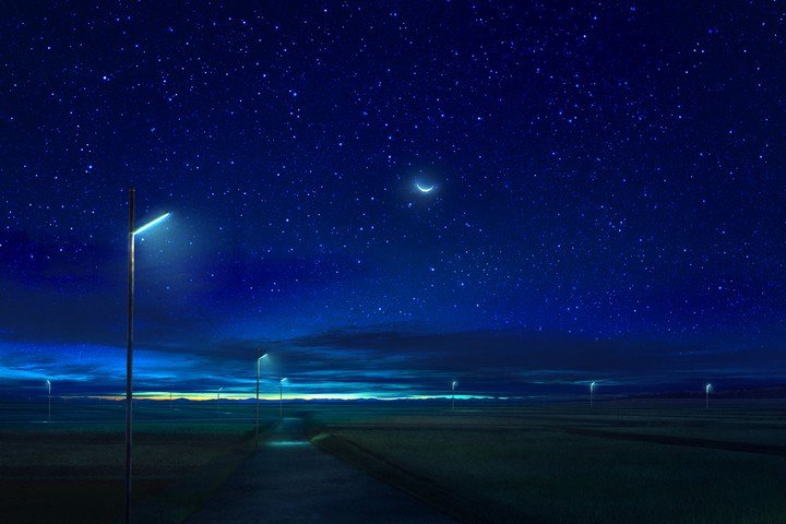 Night