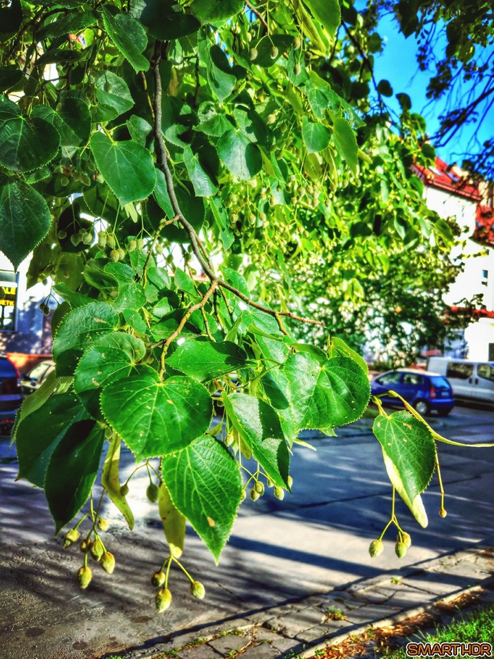 najlepiej