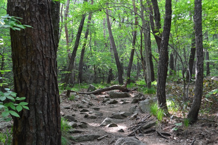 산이미지