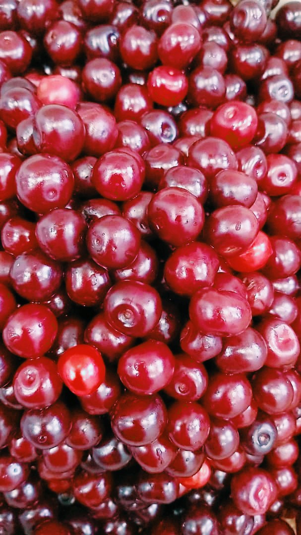 fruit