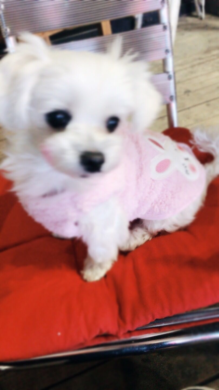꼬꼬마♥️