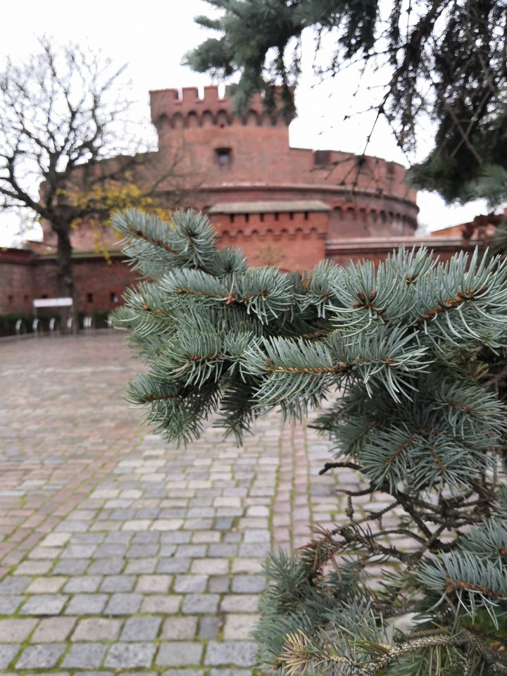 прогулка по замкам