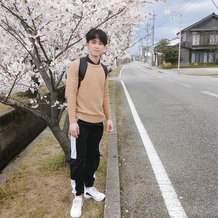 Sakura