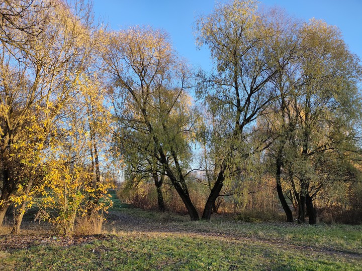 Золотая осень
