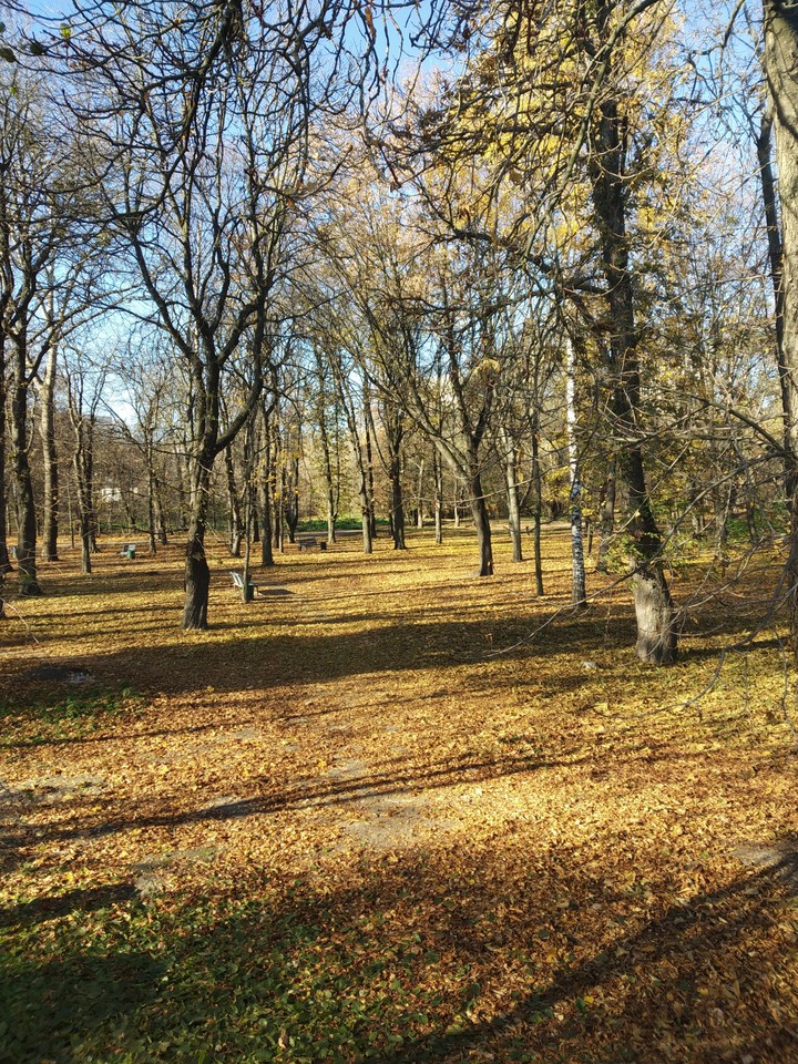 Осень